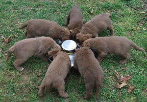 feeding time